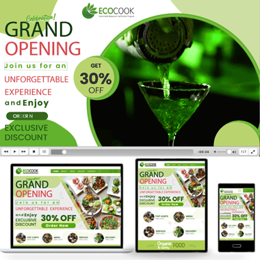 Ecco-promo project